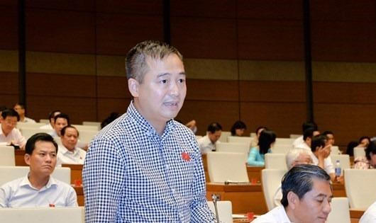 ĐBQH Nguyễn Lân Hiếu.