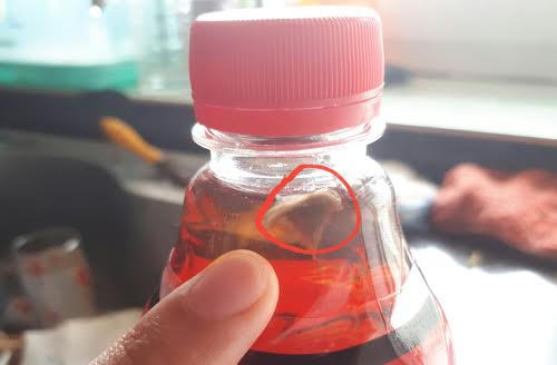 Dị vật ở trong chai Dr. Thanh có dị vật bên trong.