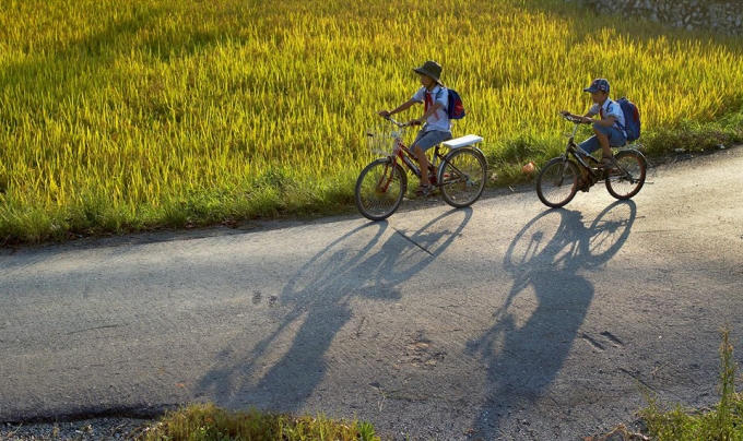 Tan trường - Ảnh: Lê Đình Quyến