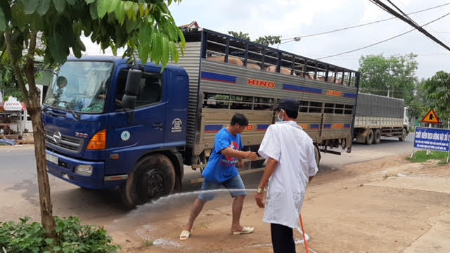 Đồng Nai tích cực giải ngân tiền hỗ trợ tiêu huỷ heo mắc bệnh