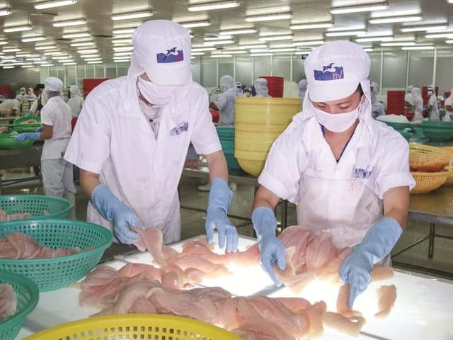 Thuỷ sản Hùng Vương thu về gần 490 tỷ sau thoái vốn tại Thực phẩm Sao Ta. Ảnh Nhipcaudautu.vn
