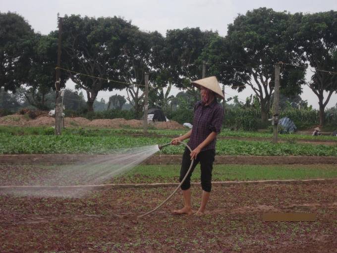 Việc tưới tiêu của người dân rất cẩn thận trong từng chi tiết.