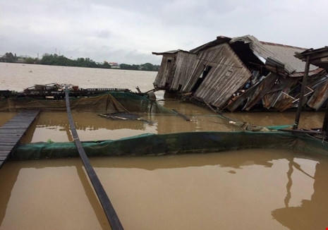 Bè cá tang hoang sau khi bị sà lan lủi trúng do tài công ngủ gật.