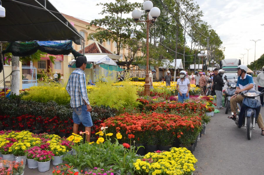 Chợ hoa kiểng nhộn nhịp người mua, góp sắc Xuân rực rỡ cho phố phường ngày Tết.