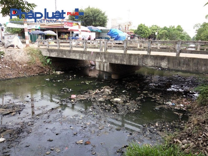 Dù đã được nạo vét cách đây không lâu nhưng dưới chân cầu Điện Biên vẫn còn đầy rác.