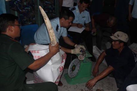 Kiểm đếm chi tiết số ngà voi.