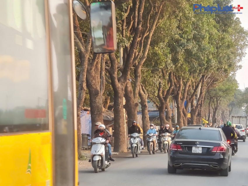 Một hàng xà cừ hướng Đại Mỗ đã bị đốn hạ, hàng cây hướng còn lại có thể không nằm trong diện phải cắt hạ (theo lời của người dân sinh sống bên tuyến đường này cho hay).