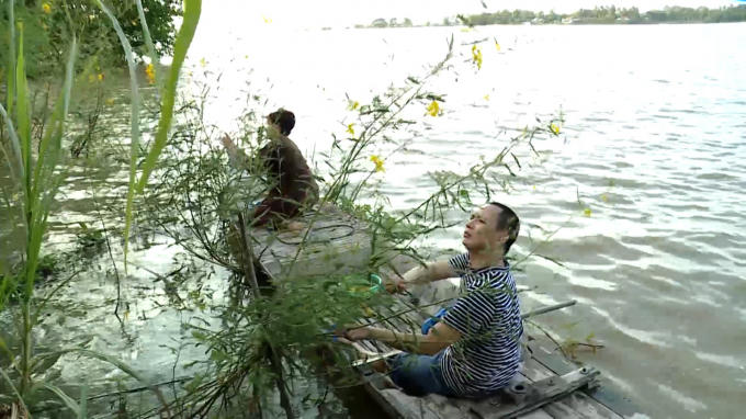 Đi hái bông điên điển