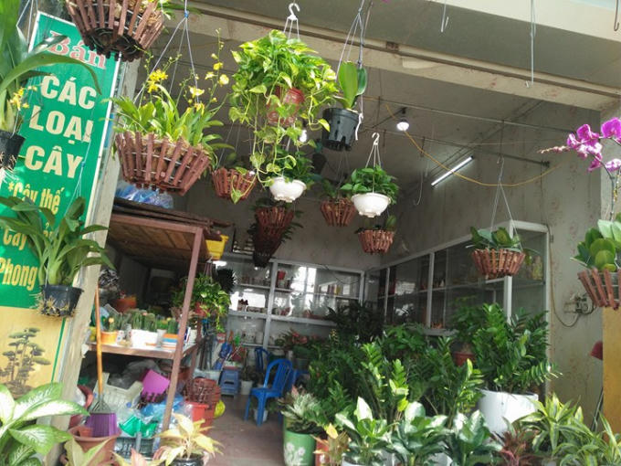 Cận cảnh cửa hàng bán cây cảnh, nơi xảy ra sự việc trên.