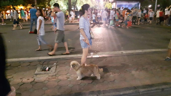 Bất chấp lệnh cấm, ch&oacute; kh&ocirc;ng rọ m&otilde;m vẫn