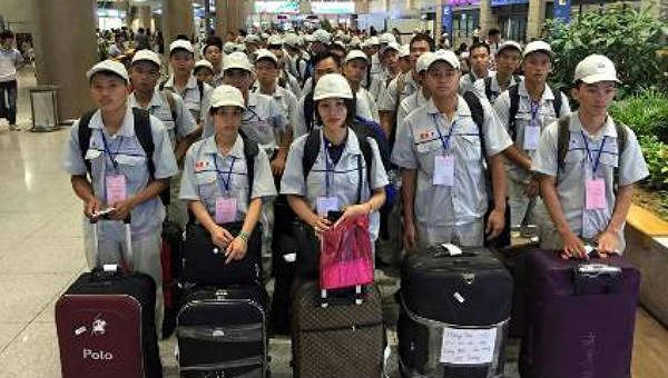 6 tháng đầu năm, hơn 65.000 người dự kiến đi làm việc ở nước ngoài