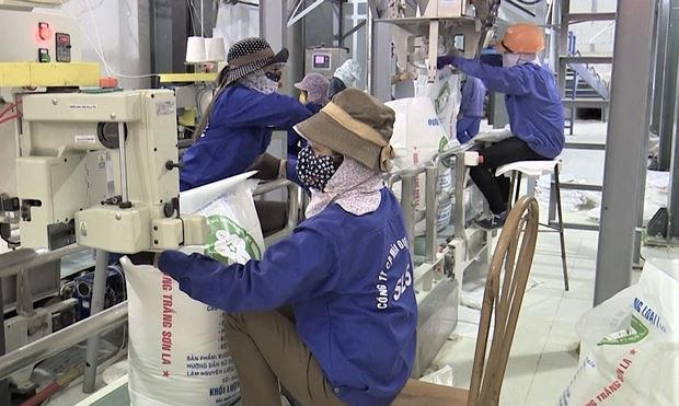 Hiệp hội Mía đường Việt Nam đề nghị Coca Cola Việt Nam tiêu thụ sản phẩm trong nước để hỗ trợ các DN mía đường.