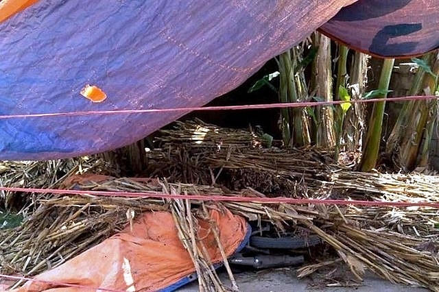 3710_qb-1557666110165