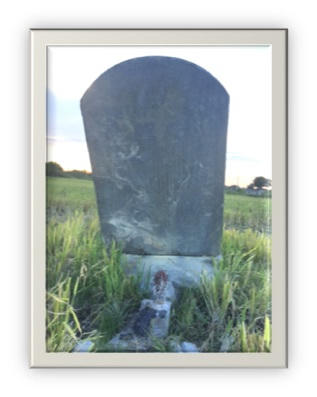 Mặt trước của tấm bia ngự trên lưng rùa đã nhạt phai theo trầm tích thời gian.