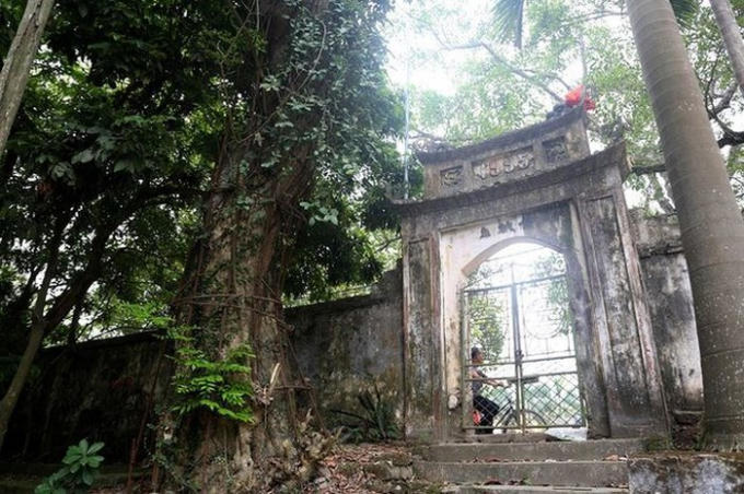 Cây sưa trăm tỷ tại Chương Mỹ (Hà Nội) khiến nhiều người xôn xao.