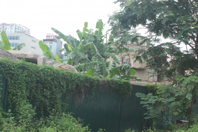 Đã có những khối bê tông đầu tiên nhưng đã bị cây dại xâm lấn.