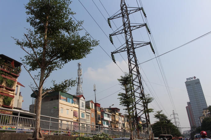 Nhiều người dân cho rằng việc trồng cây là đúng đắn nhưng trồng dưới đường điện cao thế là thiếu khoa học?