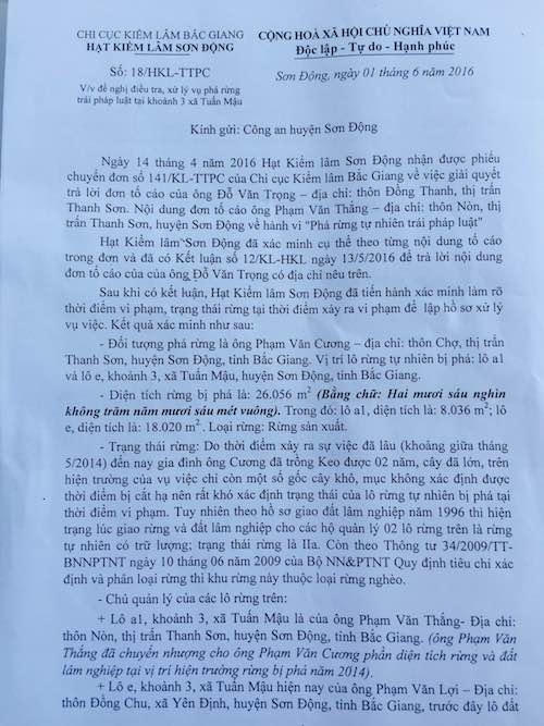 Nhà chủ tịch thị trấn phá bay hàng chục nghìn m2 rừng, giám đốc Sở Nông Nghiệp nói gì?