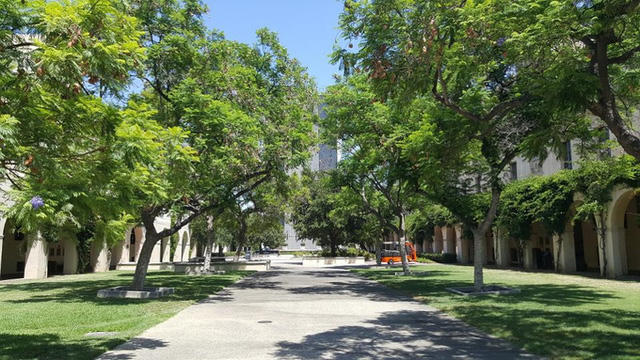 Điểm đánh giá đào tạo ngành Khoa học máy tính: 89,6Xếp hạng thế giới: 3