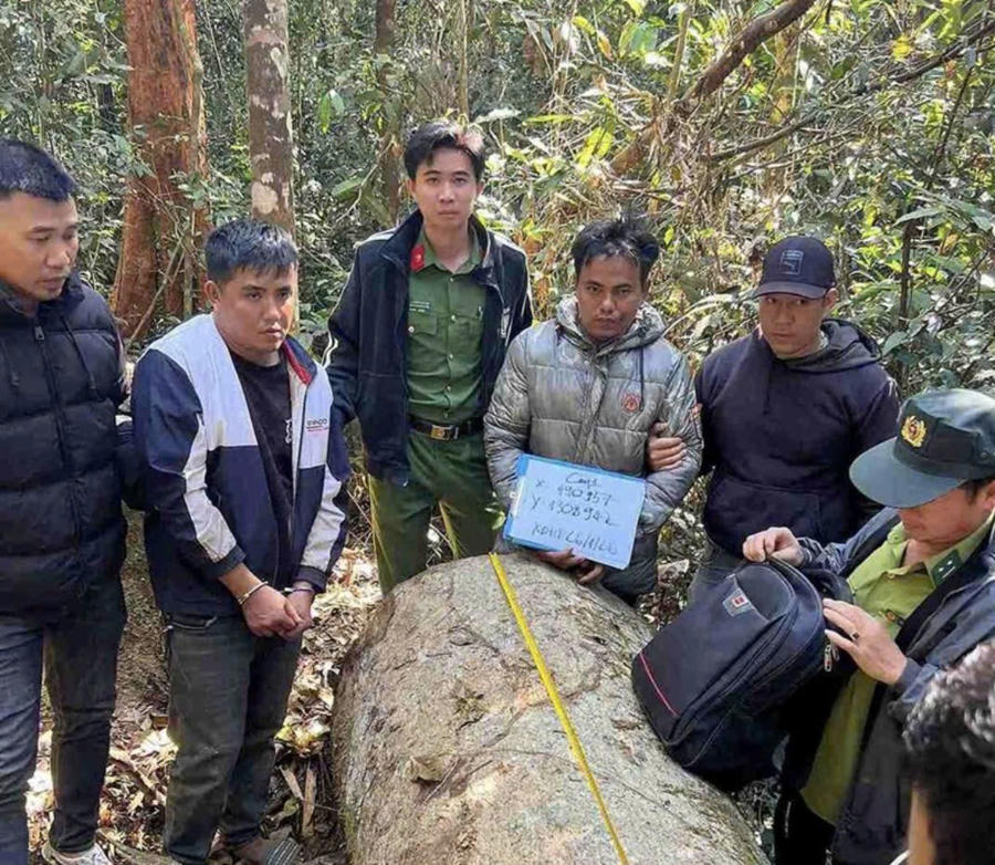 Các đối tượng bị Công an xã Bảo Lâm 5 bắt giữ khi đang khai thác gỗ dổi trái phép. Ảnh: Phúc Khánh