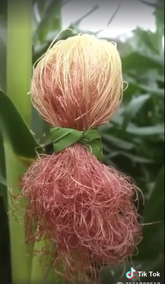 Kiểu tóc mang phong cách cổ điển kết hợp với uấn soăn hiện đại