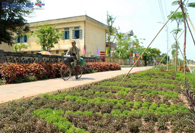 Trang trí trước các trường học, cơ quan,...