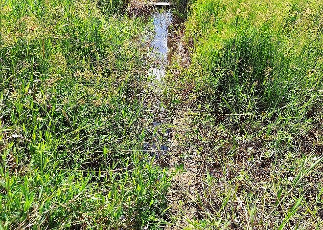 Con kênh chìm trong nước dù xứ Huế chưa vào mùa mưa