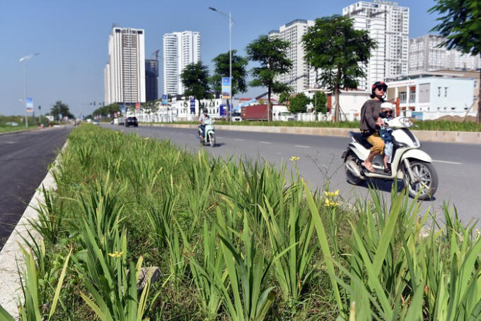 Ở giữa c&oacute; dải ph&acirc;n c&aacute;ch được trồng hoa trang tr&iacute;.