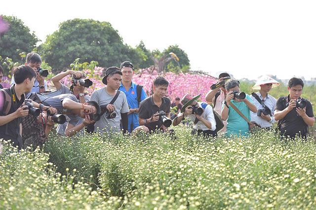 Dàn ống kính máy ảnh tụ tập tại vườn cúc hoạ mi