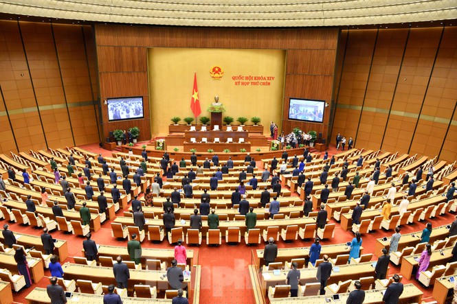 Kỳ họp đặc biệt tại Hội trường Diên Hồng - ảnh 2
