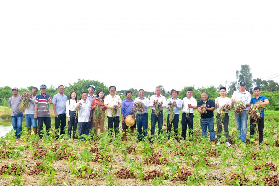Hợp tác xã Lộc Tím đã mở ra hướng đi mới cho vùng trồng màu ven phường Hiệp Thành với mô hình sản xuất hành tím hiệu quả, góp phần nâng cao thu nhập và ổn định đời sống cho nông dân (Chủ tịch UBND phường Hiệp Thành, đứng thứ 9 từ trái sang).