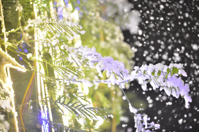 Mùa Giáng sinh này là năm đầu tiên trường Đại học Thăng Long tạo ra những cơn mưa tuyết thật sự rơi xuống sân trường đúng dịp giáng sinh.