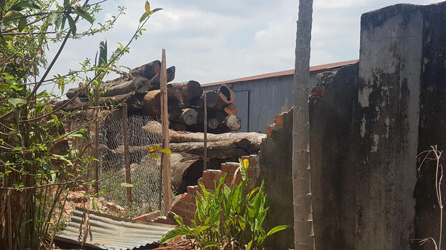 Một góc bên trong xưởng gỗ rộng lớn của Phương "râu" tại huyện Cư Jút