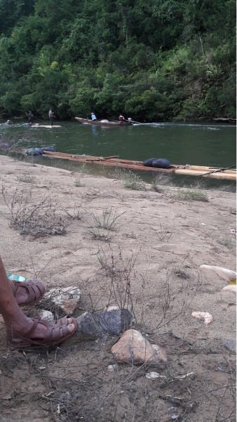 Một nhóm “lâm tặc” kết bè xong, chuẩn bị đưa ra khỏi rừng.