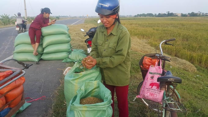 Niềm vui được mùa, được giá hiện trên khuôn mặt của người nông dân.