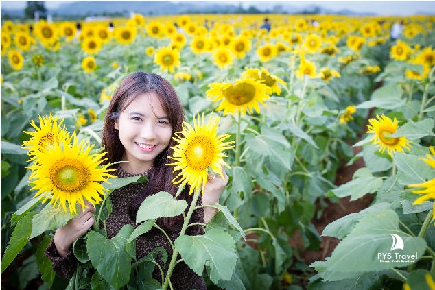 (Ảnh: Pystravel.vn).