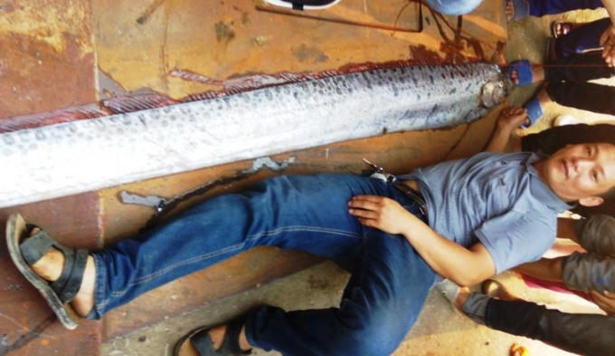 và nặng gần 25kg.