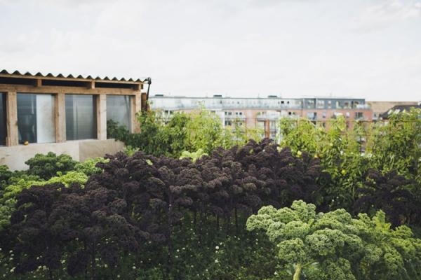 Vườn rau tr&ecirc;n tầng thượng của nh&agrave; h&agrave;ng&nbsp;trở th&agrave;nh một &yacute; tưởng tuyệt vời bởi gi&aacute; rẻ, nguồn thực phẩm sạch, thuận tiện, nằm trong tầm quản l&yacute;.