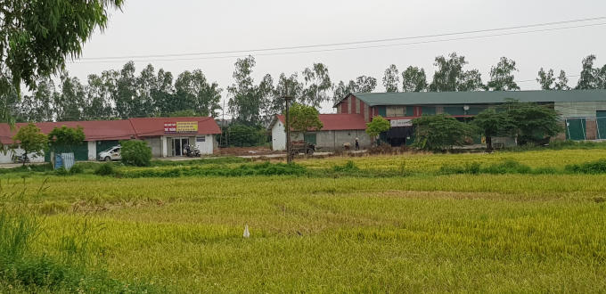 Hàng nghìn mét vuông đất nông nghiệp bị biến dạng.