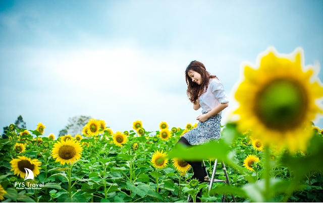 (Ảnh: Pystravel.vn).