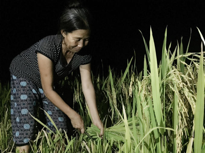 Bắc Giang: Tr&aacute;nh nắng