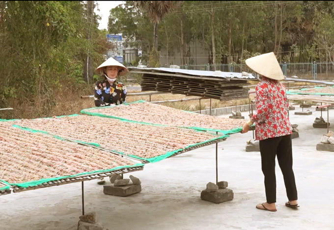 Những "vũ nữ chân dài" kiêu sa trước nắng. Ảnh: M.A.