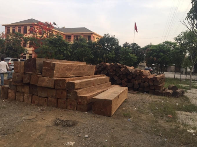 Toàn bộ số gỗ thuộc nhóm 1A (loại quý hiếm) được phát hiện trên chiếc xe container.