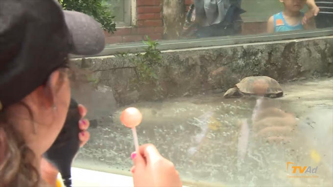 Bố ơi! C&oacute; 1 con đang đeo ba l&ocirc; nằm ngủ ạ!