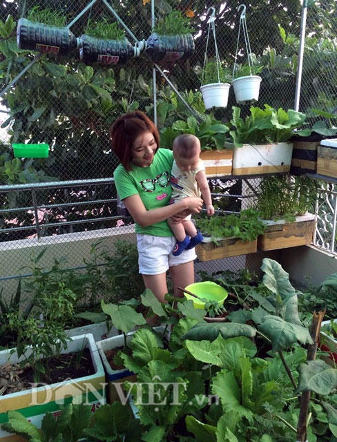 "Không quá khó trồng, không tốn quá nhiều chi phí và diện tích, việc trồng rau xanh vừa tiết kiệm tiền mua, vừa đảm bảo nguồn thực phẩm sạch cho cả gia đình" chị Hạnh tâm sự.