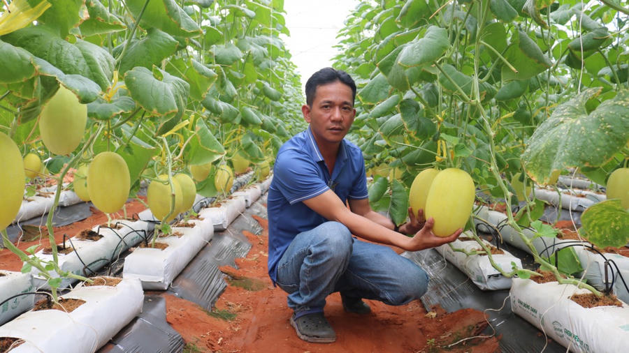 Sự kết hợp giữa nông nghiệp công nghệ cao với du lịch trải nghiệm cũng là hướng đi nhiều triển vọng.