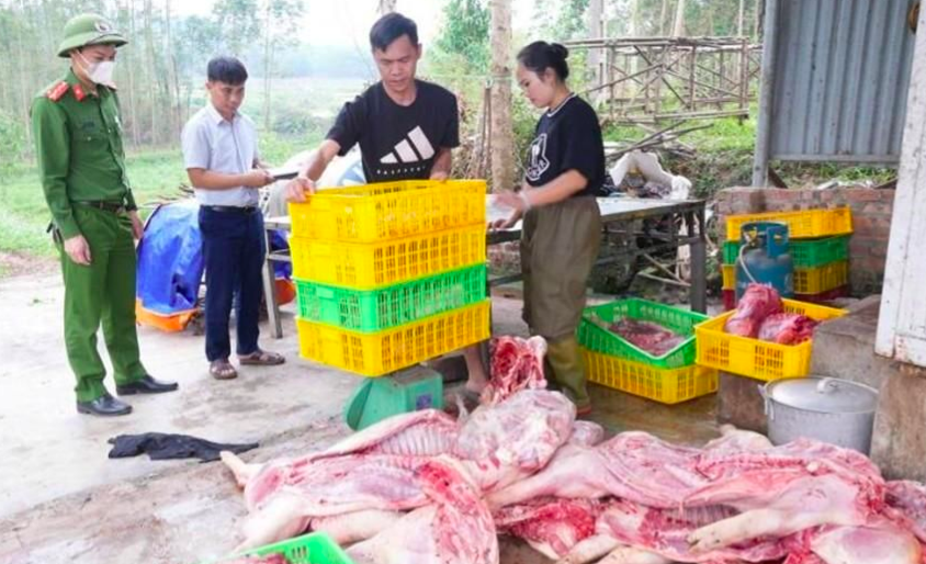 Gần 800kg thịt lợn không rõ nguồn gốc, bốc mùi chuẩn bị tung ra thị trường bị lực lượng chức năng phát hiện thu giữ.