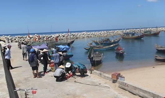 Toàn bộ tàu thuyền của người dân đều nằm phía trong âu.