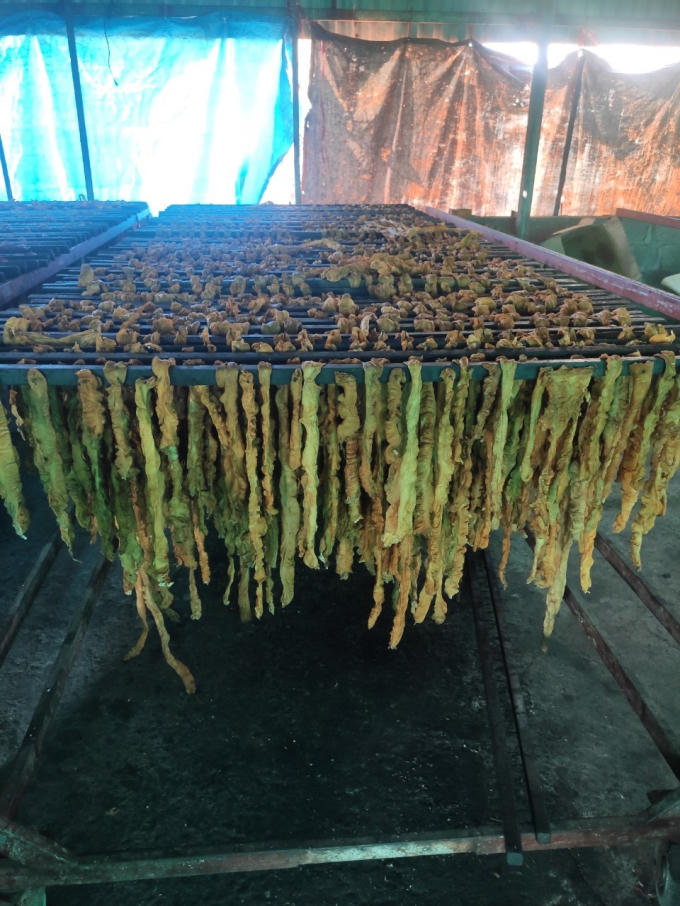 Toàn bộ 7,5 tấn lòng lợn trên sẽ bị tiêu hủy.