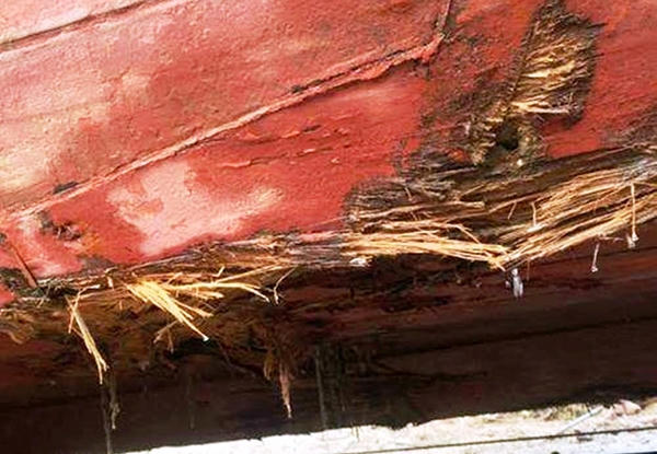 Sau khi được lai dắt vào bờ, chủ tàu cá bị nạn lập tức sửa chữa con tàu để tiếp tục ra khơi. Ảnh Quỳnh Long